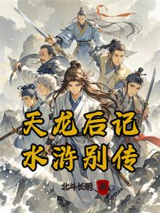天龙后记水浒别传