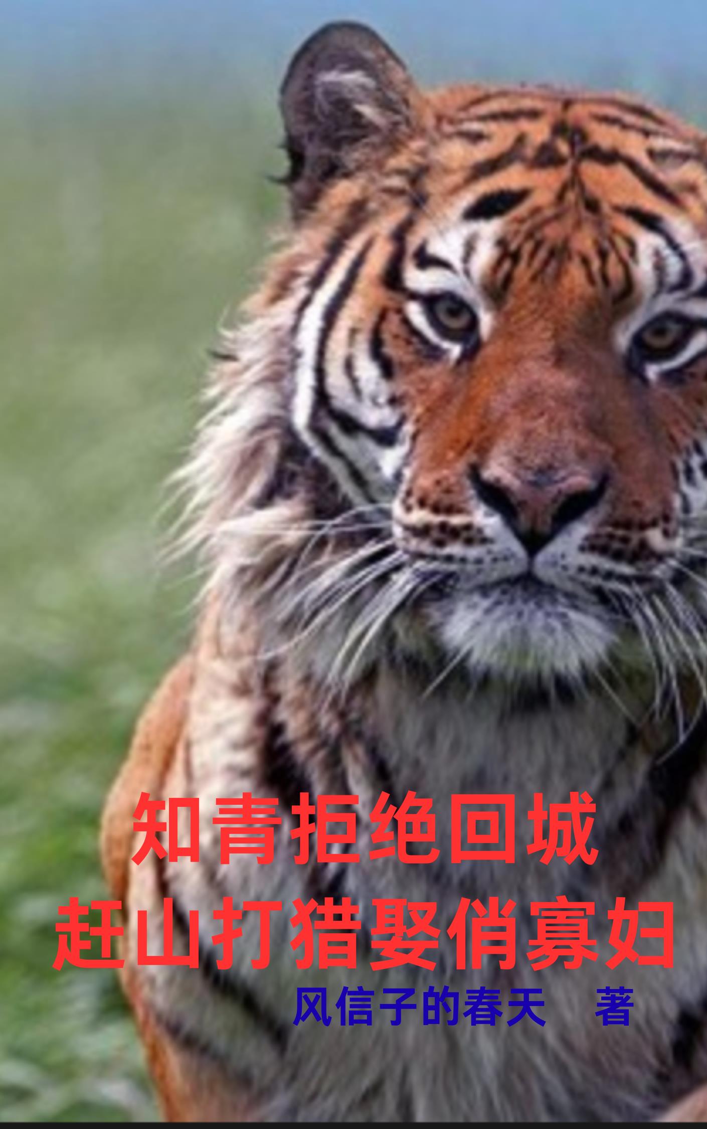 知青拒绝回城赶山打猎娶俏寡妇